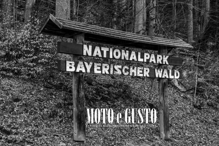 Nationalpark Bayerischer wald